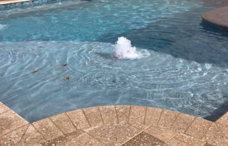 Micro Fusion Lakeside pool with coping and decking